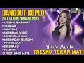 Download Lagu SHINTA ARSINTA 2025 TERBARU! FULL ALBUM Dangdut Koplo Viral (Tresno Tekan Mati)