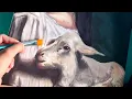Download Lagu A Beginner Artist Paint A Portrait | Acrylic Portrait Painting (First Time) + Process