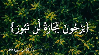 إن الذين يتلون كتاب الله  وأقاموا الصلاة وأنفقوا مما رزقناهم سرا وعلانية يرجون تجارة لن تبور  قرآن دندنها