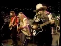 David Allan Coe - You Never Even Called Me By My Name (Live)