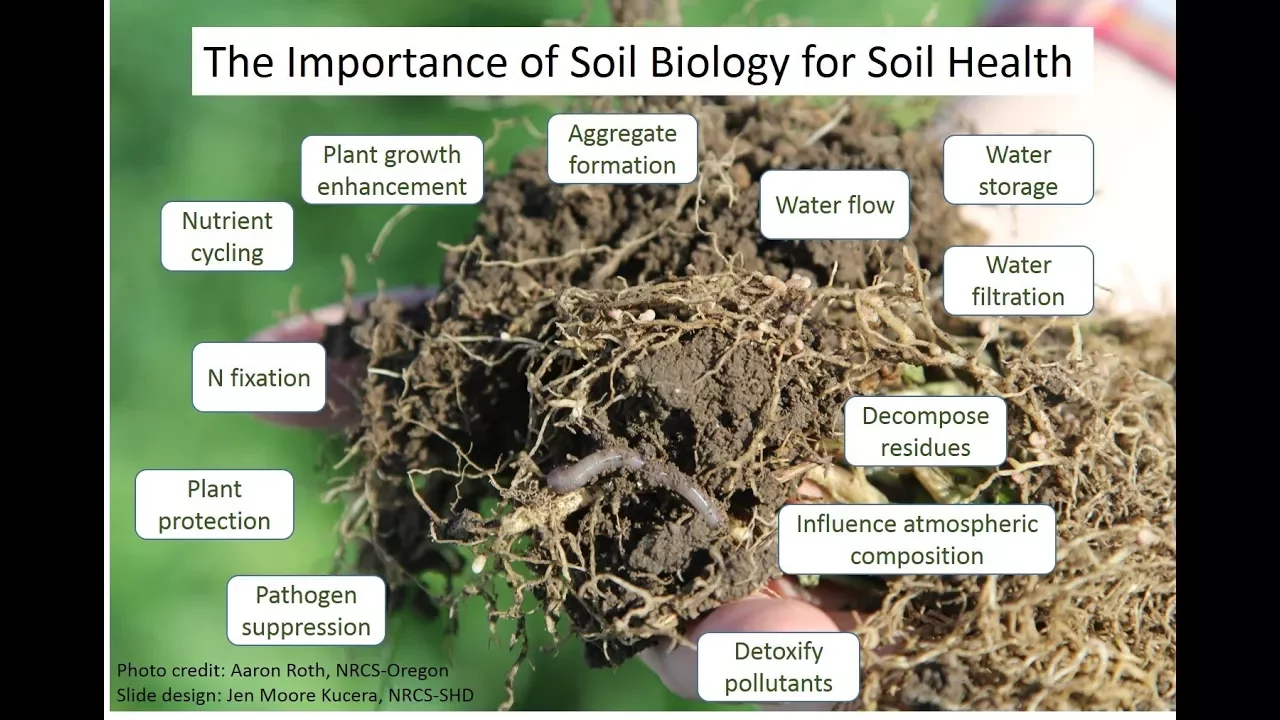 Biological Indicators of Soil Health