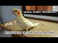 Download Lagu suara siulan doraemon untuk masteran burung falk |step 1
