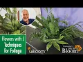 Download Lagu Fabulous Foliage Arrangement- LIVE With J