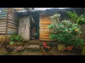 Lagu LLUVIA EN EL CAMPO CON ERNESTINA