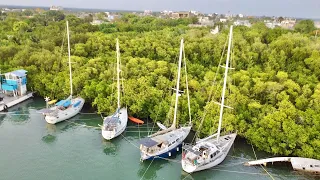 HIDING our sailboat from hurricane BERYL in a mangrove