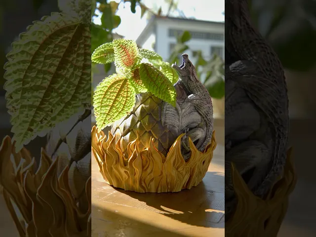 Dragon Egg Planter + Flame Catch Tray video thumbnail