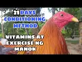 21 DAYS CONDITIONING METHOD vitamins exercise ng mga manok BALERIANS GAMEYARD