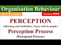 Meaning of Perception perception process perceptual process ob organisational behaviour