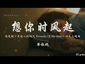 想你时风起 - 单依纯【電視劇《我的人间烟火 Fireworks Of My Heart》回忆主题曲】「刚刚我错过的大雨 握不住的盛夏 飘过的云是你吗 一圈又一圈 我多想是路过你的风」【動態歌詞】♪