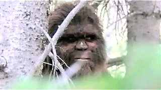 Unknown Creatures Caught on Trail Camera That Should Not Exist