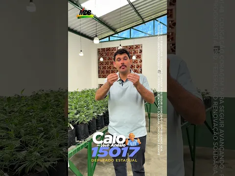 A Justiça me autorizou cultivar 214 pés de cannabis por ano para produzir o meu próprio medicament