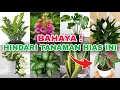 Download Lagu Awas ! 8 Tanaman Hias Ini Berbahaya. Banyak Tanaman yang Lagi Tren !