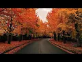 Download Lagu Surah Hashr [18-24] Qari Siddique Al Minshawi Beautiful recitation