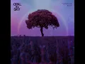 Planetary Bliss - Opal In Sky