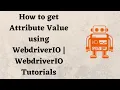 How to get Attribute Value using WebdriverIO WebdriverIO Tutorials
