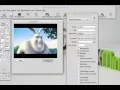 Livecode create a player in 1 minute