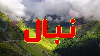 معنى اسم نبال وصفات من يحمل هذا الاسم    دندنها