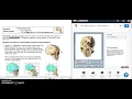 Skull Analysis Gizmo Introduction
