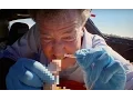 Download Ambulance Challenge | Top Gear | Series 22 | BBC mp4 3gp mp3 videos - waplic