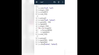 Desing Turkey Flag using turtle Library in python