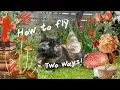 Download Lagu How to fly like a fairy! 🧚🏻‍♀️💖⚡️