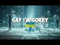 Download Lagu Afgan - Say I'm Sorry | Terjemahan Indonesia