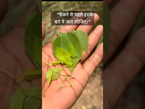 #farming #ihavethisthingwithplants