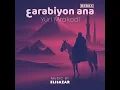 Arabiyon Ana Remix