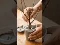 A Plastic Cup Cement THIS DIY mini tree