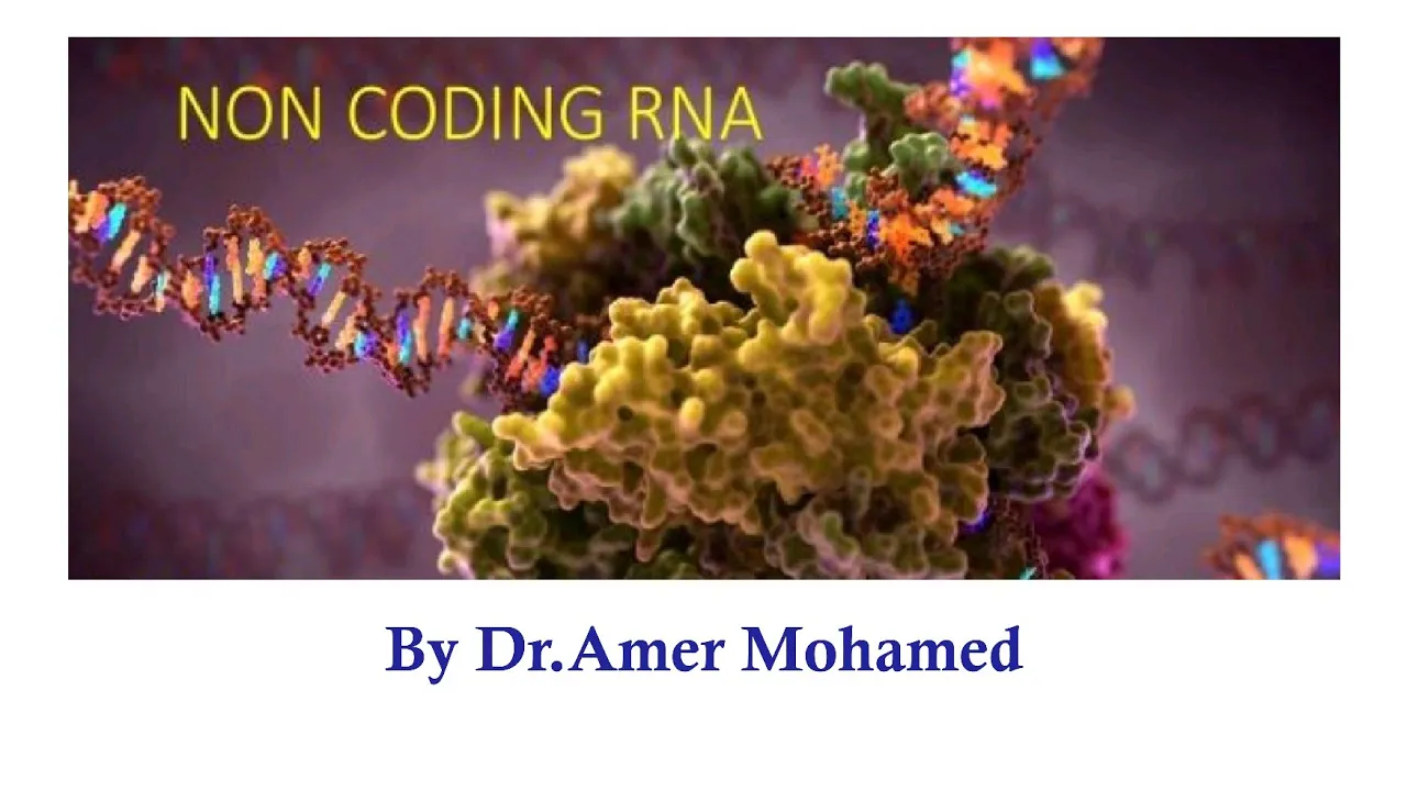 Non coding RNA