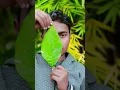 Download Lagu #official Devendra  bind dj  remix song #hindi  #jila pratapgarh#����Filter