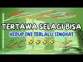 Download Lagu TERTAWA SELAGI BISA - HIDUP INI TERLALU SINGKAT
