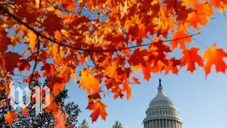 Mini blue wave Democratic success in statewide races