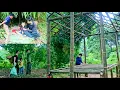 Download Lagu Full Video 120: Survival and Construction. The touching story of Ly Thanh Thuy's bamboo house