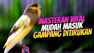 Download MASTERAN VIRAL MUDAH MASUK DAN MUDAH DI TIRUKAN - SUARA KENARI ISIAN PRENJAK CIBLEK MP3