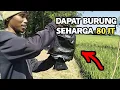 Download Lagu PIKAT BURUNG SEHARGA 80JT CUMA DIPOHON PISANG | ZONA BURUNG LIAR
