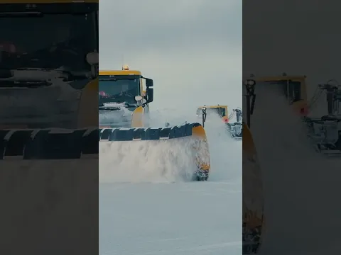 Meet our snow warriors!