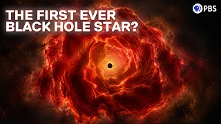 JWST May Have Discovered a New Cosmic Object: The Black Hole Star