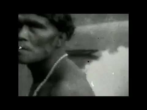 Trailer Os Mortos Resistirão Para Sempre H 264