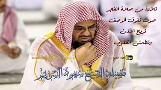 تلاوة من صلاة الفجر صوت تفوق الوصف تريح الأذن وتطمئن القلوب فضيلة الشيخ سعود الشريم Saud Shuraim 