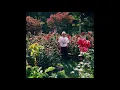 Ritt Momney - Put Your Records On