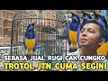 Download Lagu GREBEK ! GUDANG BURUNG IMPOR RATUSAN CUCAK CUNGKO JTN JUAL RUGI TROTOL JANTAN DR 1,1 JUTAAN HARI INI