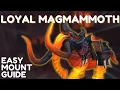 How to Get the Loyal Magmammoth Dragonflight WoW Easy Mount Guide
