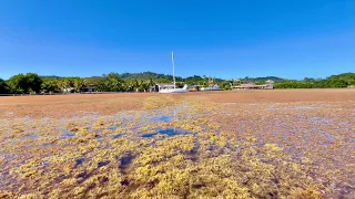 sailing to CUBA update 5