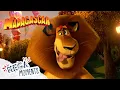 Captain DuBois Surprise 😱 | Madagascar 3 | Clip | Mega Moments