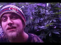 Download Lagu Blowin' Smoke - Andy Savage \u0026 Fvncii (Official Music Video) Prod. Urban Nerd