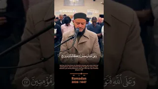 خيانة العهد وعناد بني إسرائيل   قصة التيه والأرض المقدسة بصوت فضيلة الشيخ حاتم فريد الواعر    دندنها