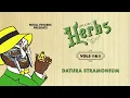 MF DOOM - Datura Stramonium (Official Audio)