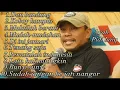 Download Lagu Ayah pidi baiq full album 2023