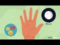 What Do Moles on Your Hand Mean